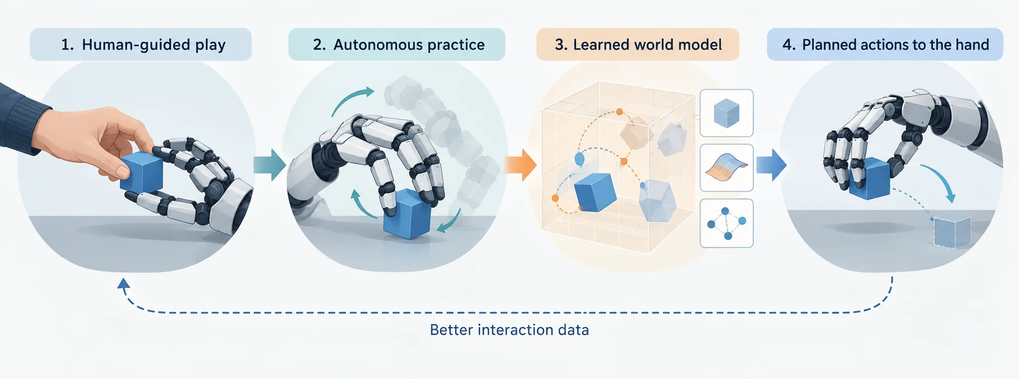 Illustration of a multifingered robot hand learning object manipulation through human-guided play, autonomous practice and world-model planning.